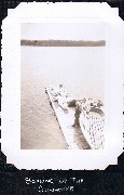 A036- (Soaking up the Sunshine)